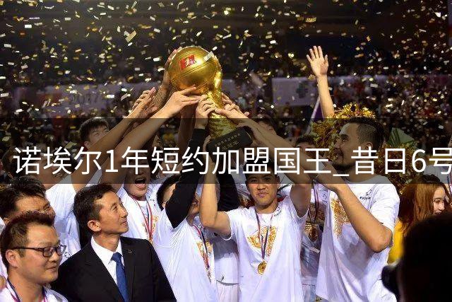 诺埃尔1年短约加盟国王 昔日6号秀将补强内线